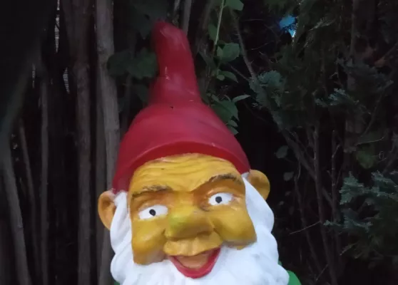 Bild: Kuriose u. interessante Links über das Leben in deutschen Kleingärten (Schrebergärten).