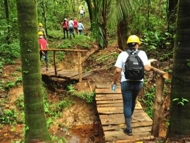 Bild: Tropenwald-Lehrpfad in Panama von ForestFinance eröffnet