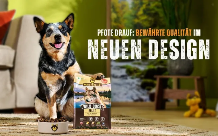 Bild: Pfote drauf: WOLFSBLUT im neuen Look
