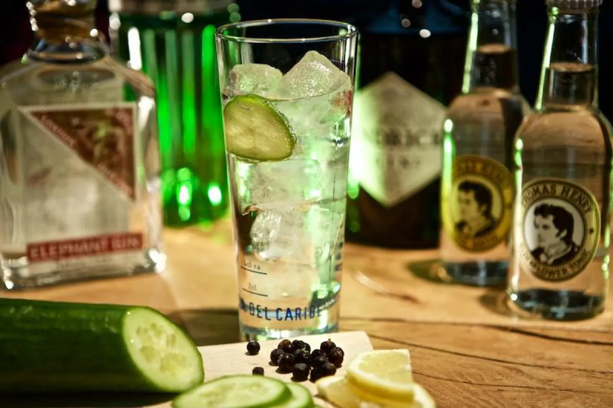 Gin Tonic Tasting bei Delicious Berlin in Charlottenburg-Wilmersdorf