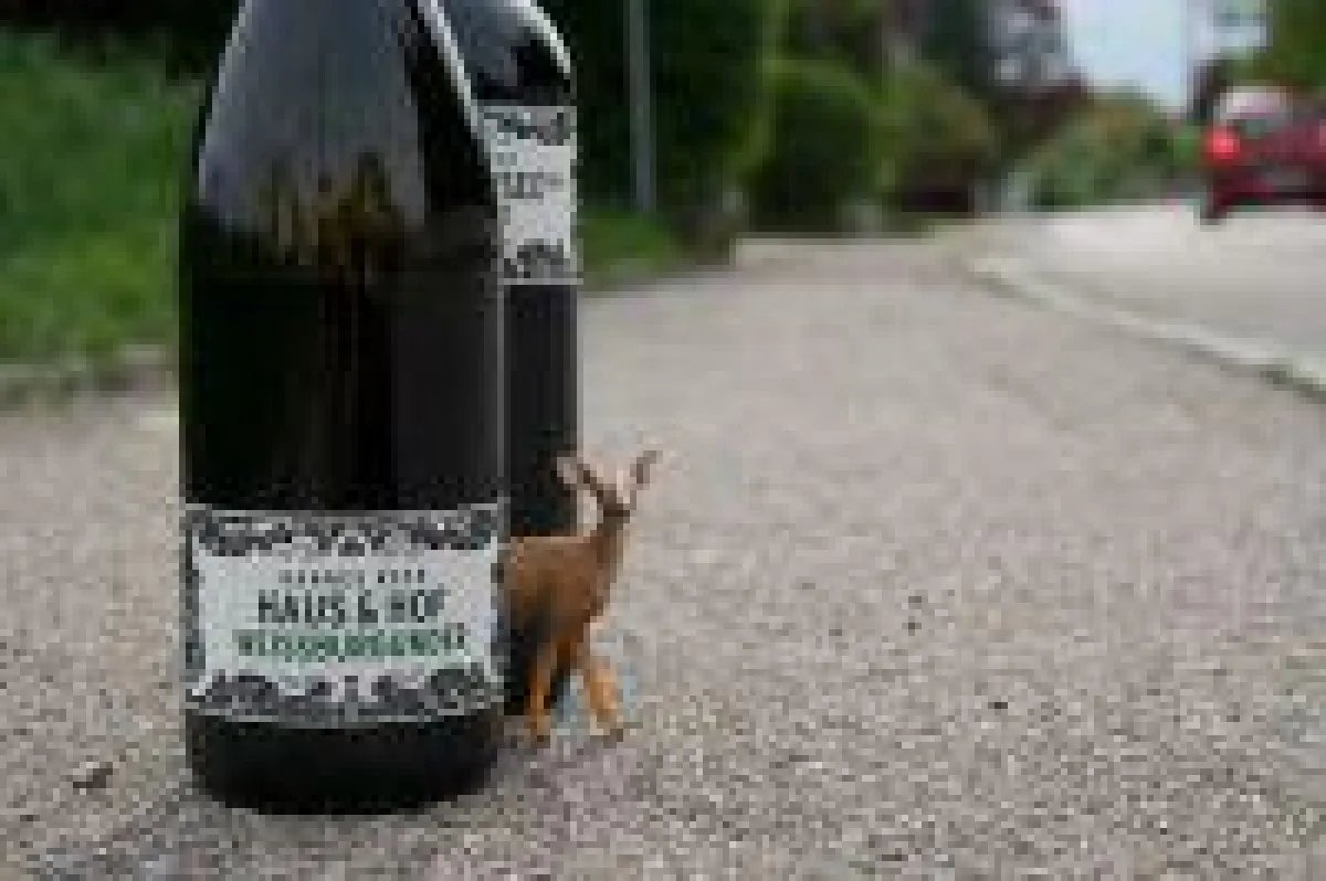 Der Onlinehändler WEiNDOTCOM gibt die Hannes Reeh Weine offiziell zur Jagd frei...