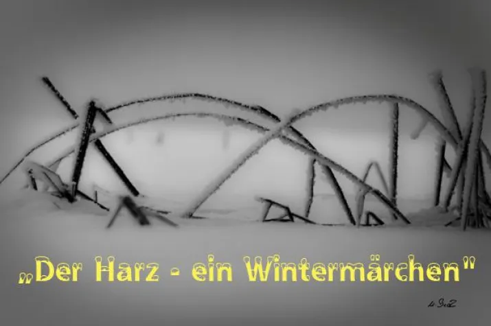Bild: „Der Harz - ein Wintermärchen" - eine fotografische Reise