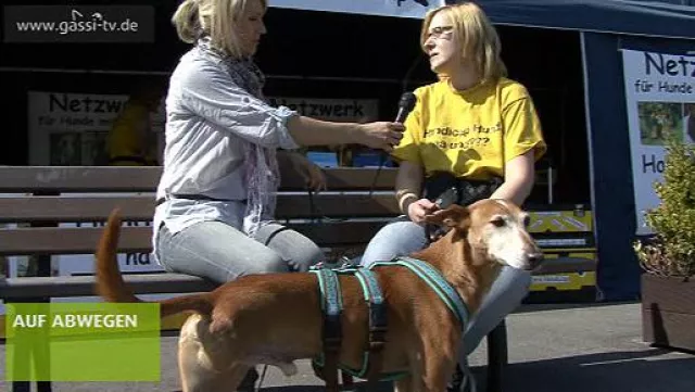 Bild: Die Revierhund 2010