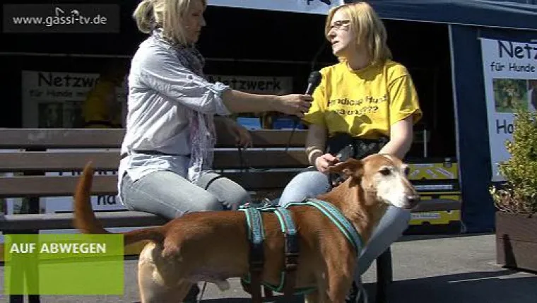 Bild: Die Revierhund 2010