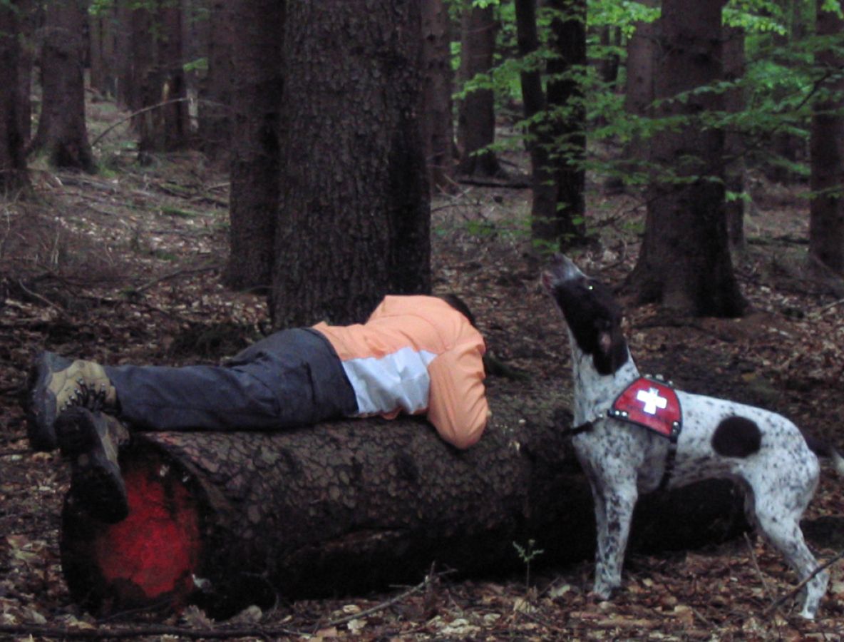 Rettungshunde im Unterricht Frankfurter Rettungshundestaffel zu Gast