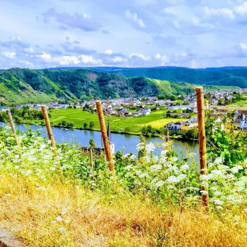 Bild: Urlaub 2020 im neu eröffneten oder frisch renovierten Hotel