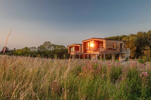 Bild: Deutschlands erstes Baumhaushotel an der Ostsee eröffnet – Rückzugsort mit Stil & Weitblick