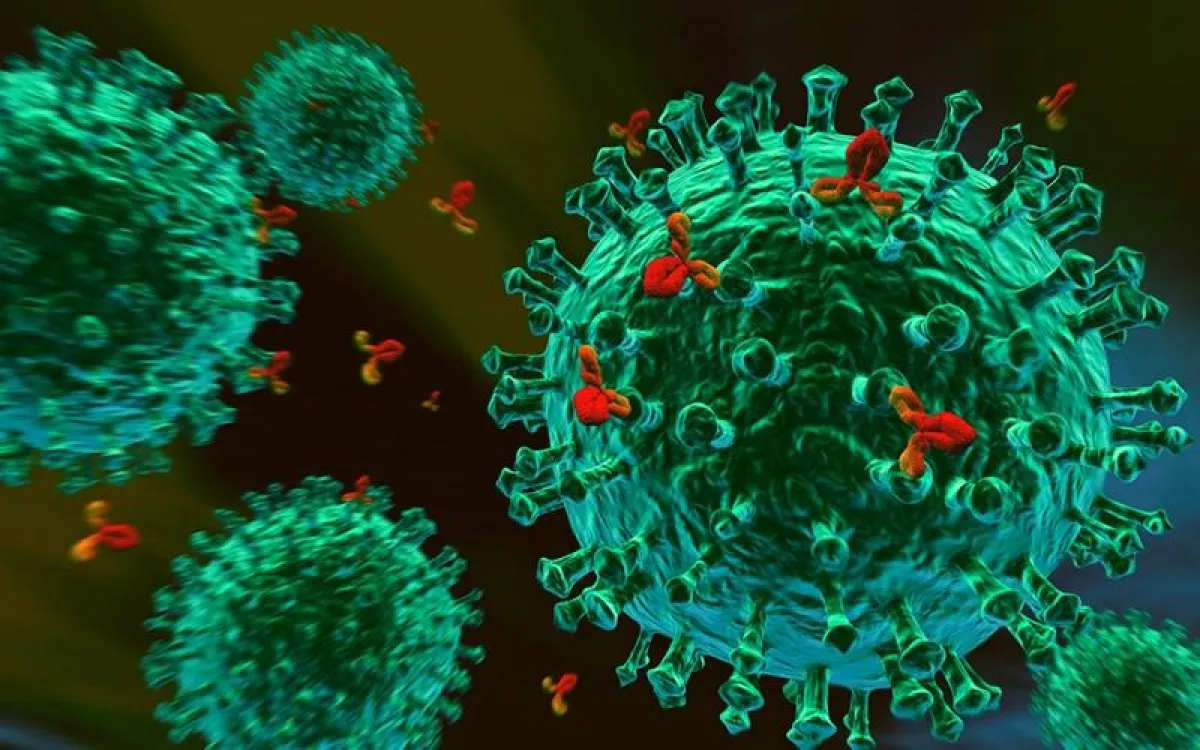 Brustkrebs (Mammakarzinom), Sarkome, Lymphome - unser Immunsystem bekämpft sie, wenn es richtig funktioniert.