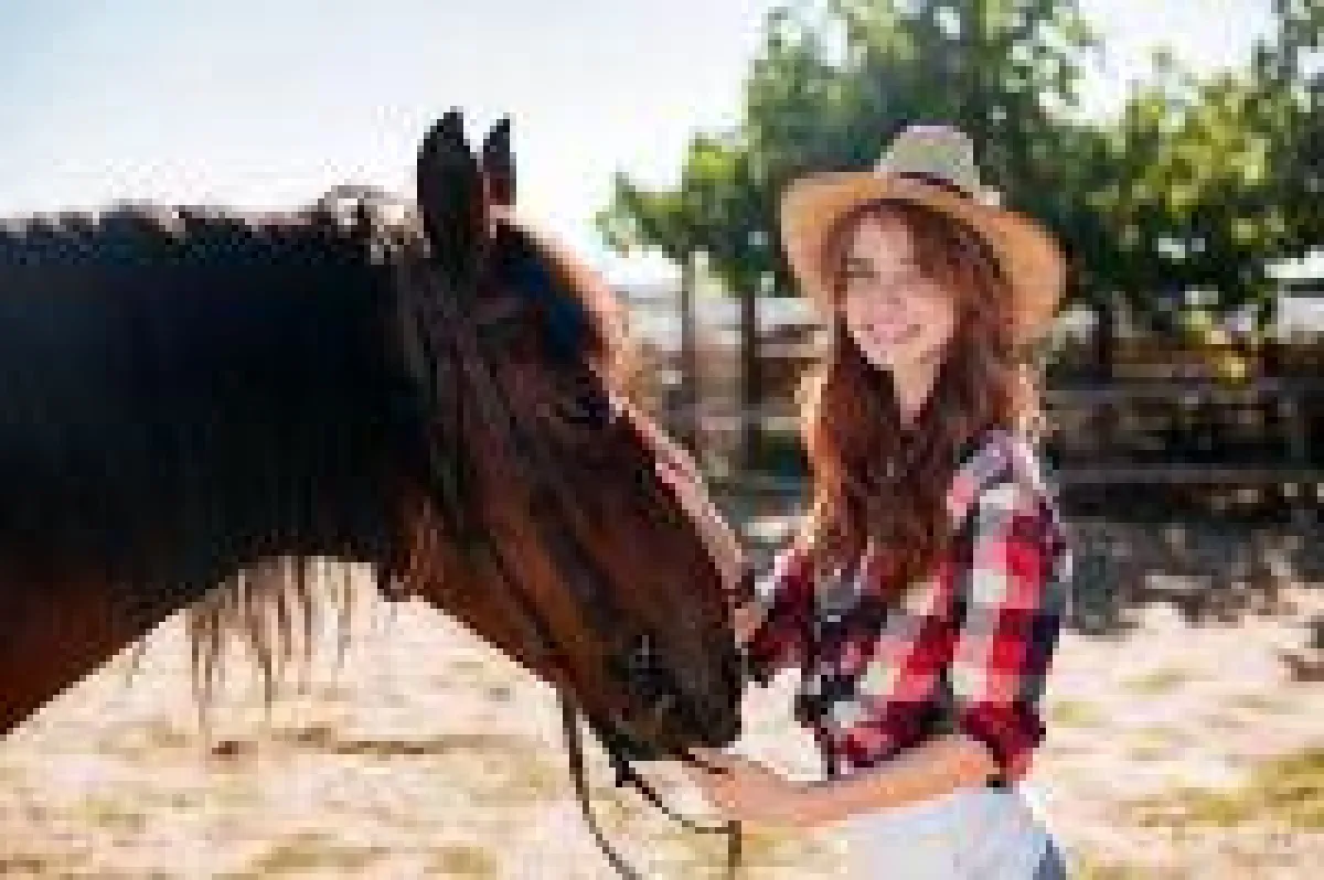 Westernsattel