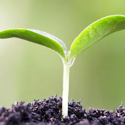 Bild: Nachhaltigkeit ein Modewort?