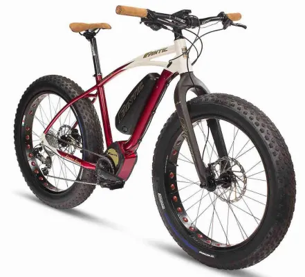 Bild: FANTIC-BIKES.de: Stylische Fat- und E-MTB-Bikes von FANTIC zum fairen Preis