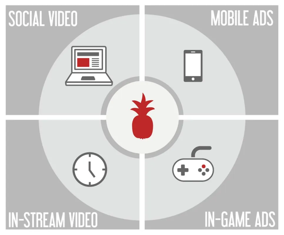 4-in-One-Solution (Red Pineapple Media)