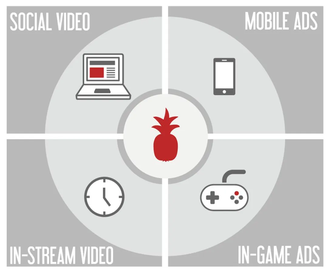 4-in-One-Solution (Red Pineapple Media)