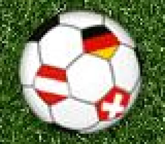 Bild: Ergebnisse der großen Fußball-Fanbefragungen 2007/08