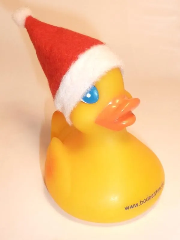 Ente mit Mütze