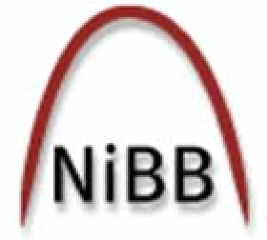NiBB Netz innovativer Bürgerinnen und Bürger