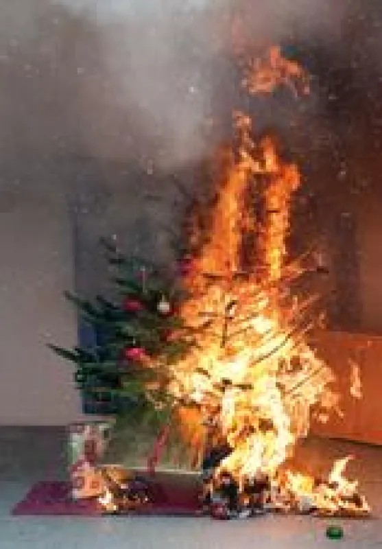 Sanag Christbaum