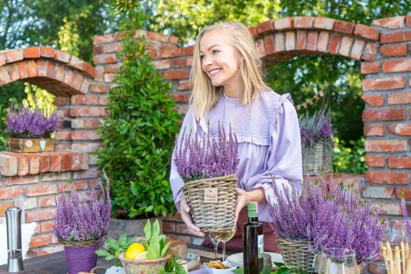 Mit Calluna Herbstlavendel von Gardengirls den Sommer verlängern Bild: Mit Calluna Herbstlavendel von Gardengirls den Sommer verlängern