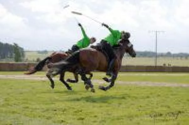 Bild: Deutsche Nationalmannschaft Waffenreiten von Tentpegging Germany bei den TOP GALA-Shows der Faszination Pferd