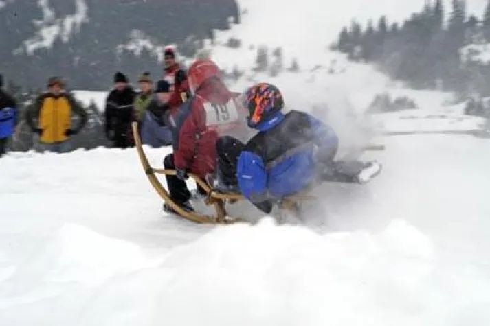 Bild: Hornerschlitten und Schallengge copilot in Jungholz/Tirol