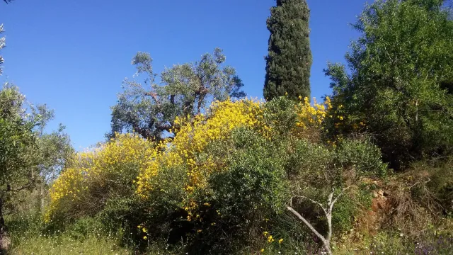 Bild: simply.eco einfache Ansätze für maximale Biodiversität