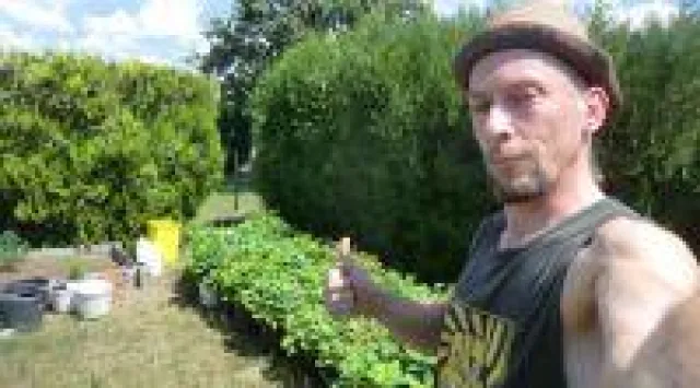 Bild: Leipziger Eichenpark der Vielfalt für mehr Biodiversität und Eichen aus Leipzig