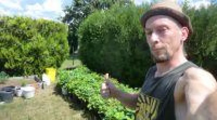 Bild: Leipziger Eichenpark der Vielfalt für mehr Biodiversität und Eichen aus Leipzig