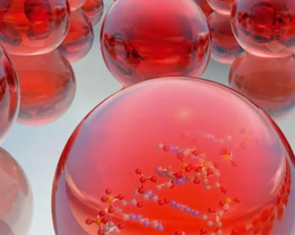 Erfolgreiche Private-Public Partnership Bild: Erfolgreiche Private-Public Partnership