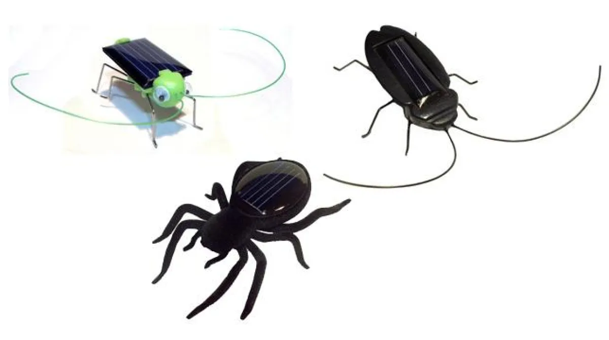 Spinne, Grille oder Schabe - was darf's sein?