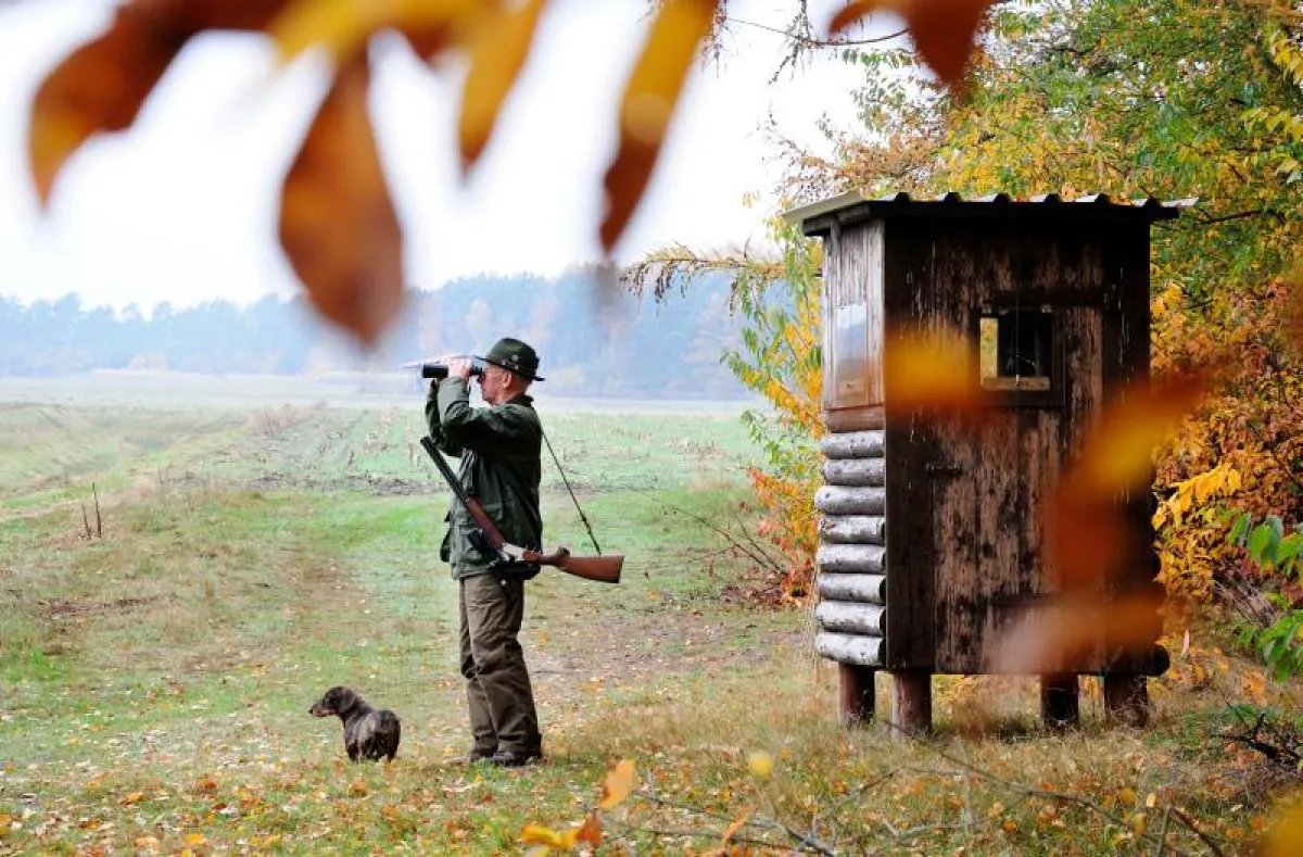 Bildunterschrift: In der Jagd die Natur erleben (Quelle: Fotolia noxmox)