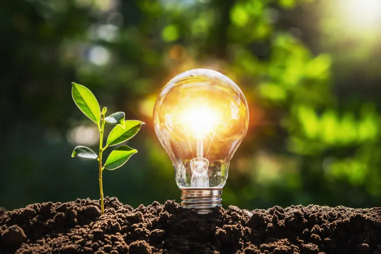 Bild: Deutliche Erhöhung der Energieproduktion von umstrittenen Klärschlammverbrennungsanlagen 