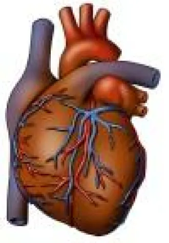 Auswahl der passenden privaten Krankenversicherung Bild: Auswahl der passenden privaten Krankenversicherung