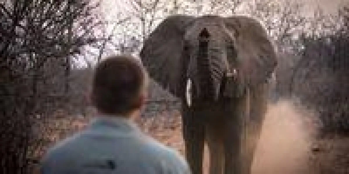 Sabbatical in der Wildnis