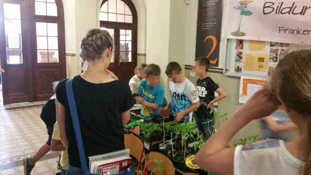 Pflanzen für den guten Zweck Bild: Pflanzen für den guten Zweck