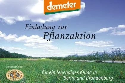 Bild: Berliner und Brandenburger forsten Brandenburg auf