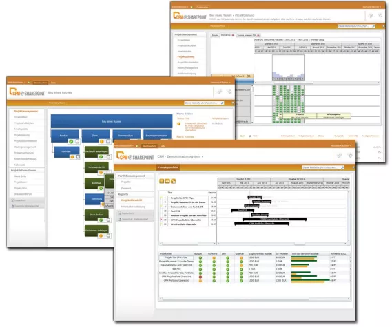 Bild: Webbasiertes Multi-Projektmanagement mit CPM@SharePoint