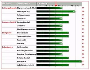 Bild: Erfolgreiches Verhalten ist erlernbar - das DNLA-Profiling erkennt Potenziale