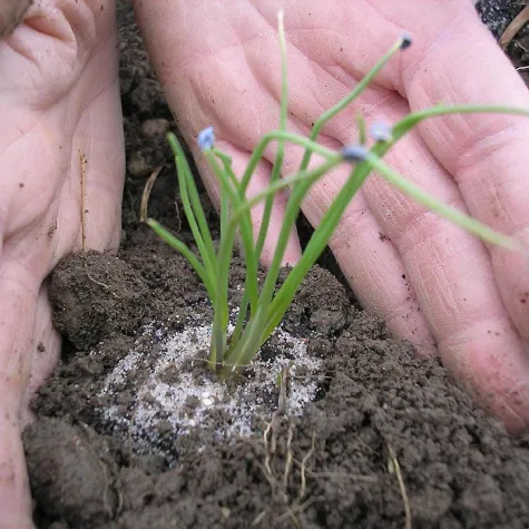 Urlaub einmal anders: Selbstversorger-Seminare am Chiemsee Bild: Urlaub einmal anders: Selbstversorger-Seminare am Chiemsee