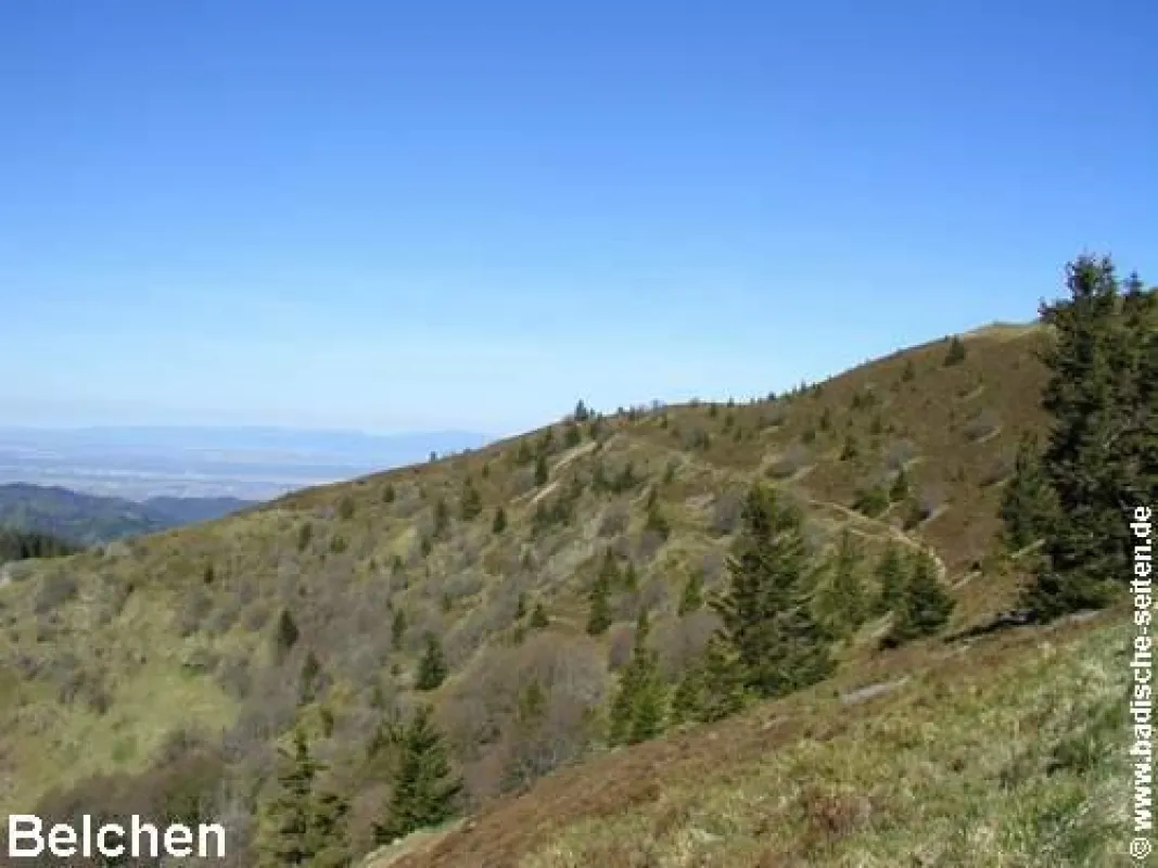 Belchen - Blick auf die Südflanke