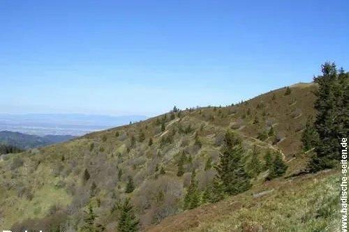 Bild: Belchen