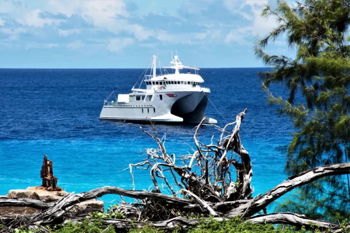 Bild: Kreuzfahrt: Neue Expedition zum Aldabra-Atoll für nur sechs Gäste