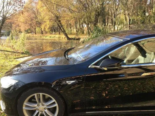 Bild: Voll elektrisiert - Fahrspaß pur auf individuellen Rundreisen mit dem Tesla