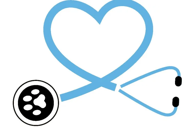 Mein.pet - die kostenlose, digitale Krankenakte für Ihr Tier Bild: Mein.pet - die kostenlose, digitale Krankenakte für Ihr Tier