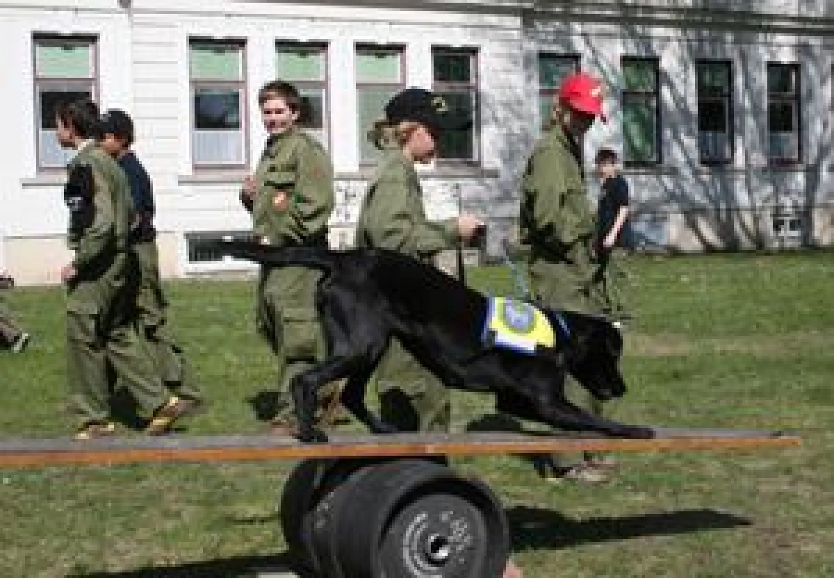 Es waren besonders die Hunde, die alle Teilnehmer der Veranstaltung sofort in ihr Herz schlossen.