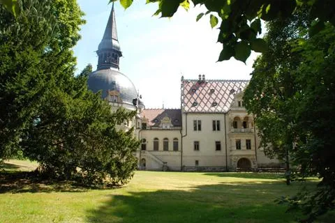 Bild: Das Schönfelder Traumschloss hat den größten Straußfarnbestand Sachsens
