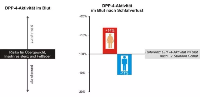 Bild: Schlafverlust wirkt sich bei Frauen und Männern unterschiedlich auf die Aktivität von DPP-4 aus