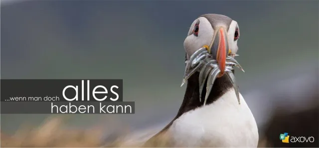 Bild: Fotos hochladen, auswählen und bestellen – Neues Webportal axovo.de integriert alle Arbeitsschritte