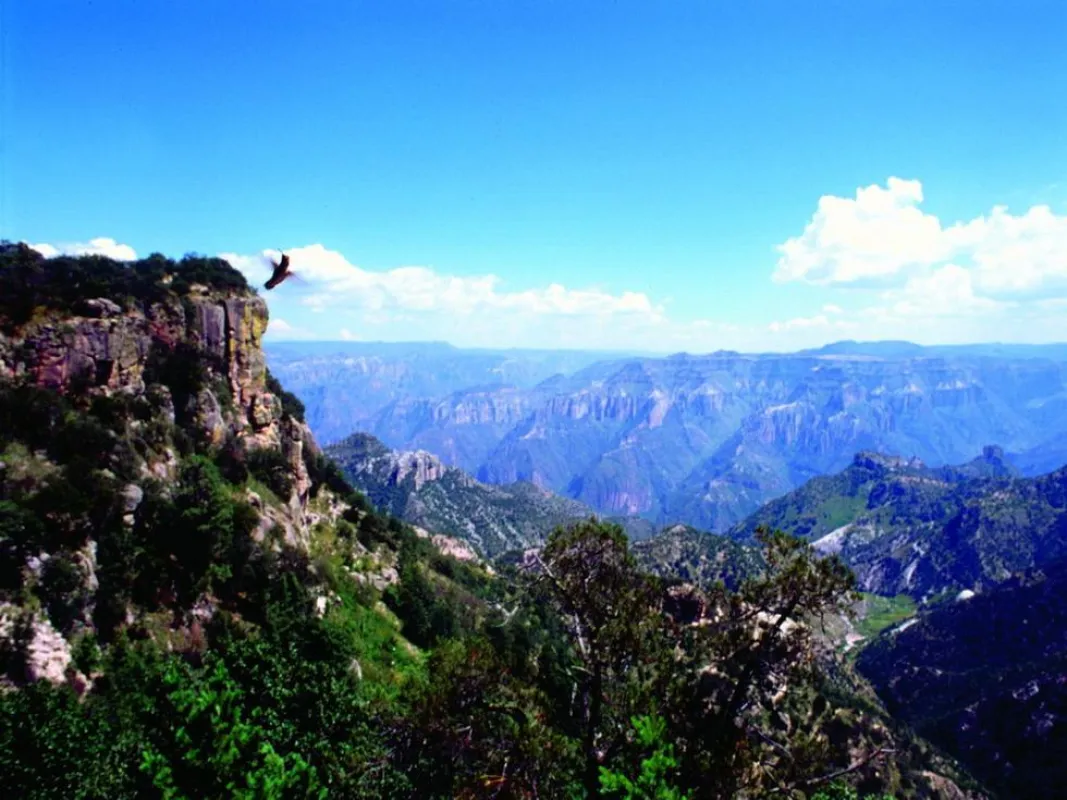 Kupfer-Canyon/ Bildabdruck nur im Zusammenhang mit der Kupfer-Canyon Reise