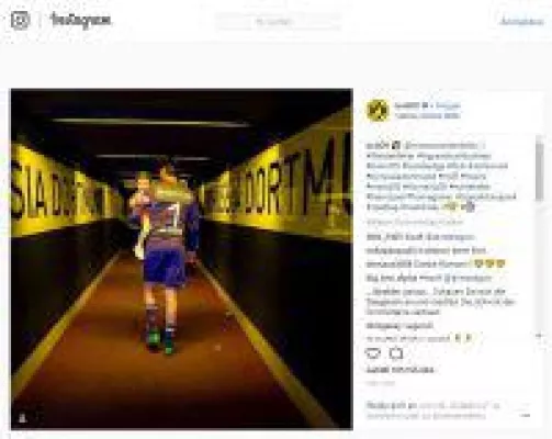 Bild: Social Media: Warum Dortmund und HSV an der Spitze stehen - Bundesliga-Analyse vom 33. Spieltag