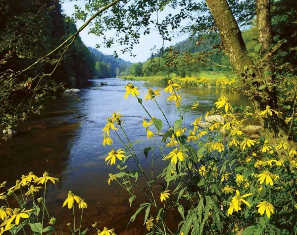 Bild: Arabische Prinzessin reitet im Passauer Land in Bayern